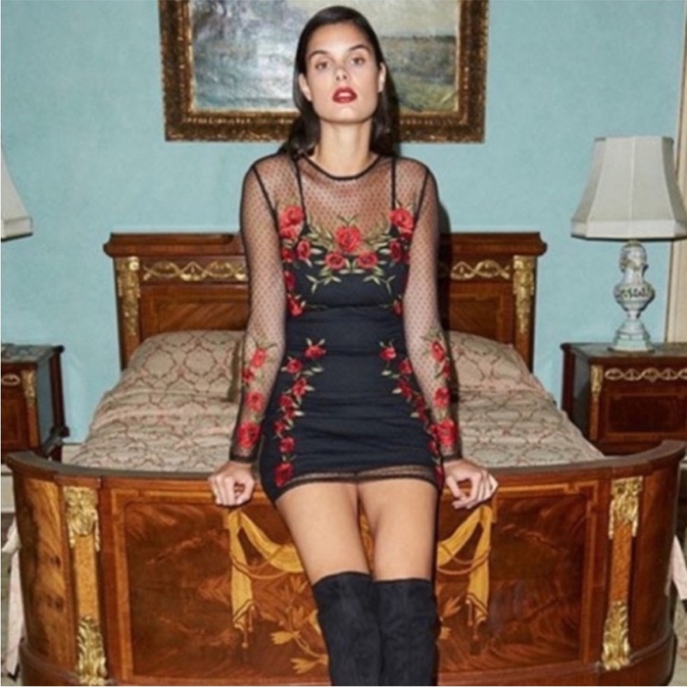 NWT Lovers + Friends X Revolve Morella Embroidered Rose Dress